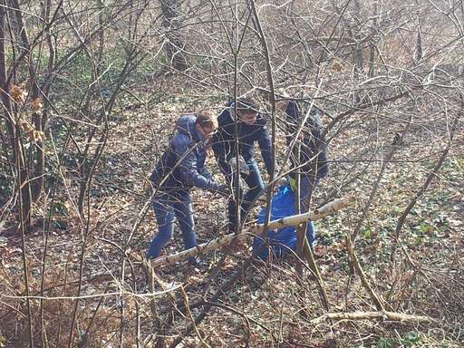 Drei Kinder im Wald beim Müllsammeln